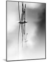 Silence-Ursula Abresch-Mounted Photographic Print