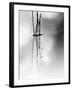 Silence-Ursula Abresch-Framed Photographic Print