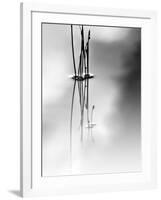 Silence-Ursula Abresch-Framed Photographic Print