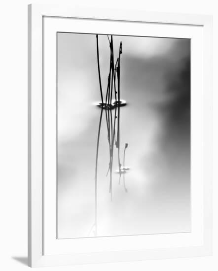 Silence-Ursula Abresch-Framed Photographic Print