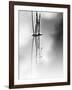 Silence-Ursula Abresch-Framed Photographic Print