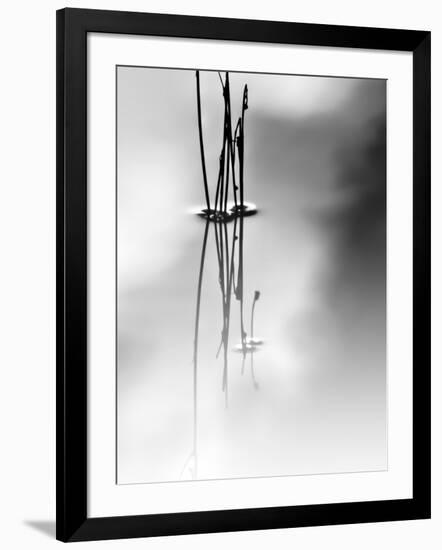 Silence-Ursula Abresch-Framed Photographic Print