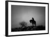 Silence-Dan Ballard-Framed Photographic Print