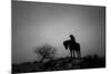 Silence-Dan Ballard-Mounted Photographic Print