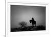 Silence-Dan Ballard-Framed Photographic Print