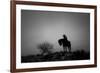 Silence-Dan Ballard-Framed Photographic Print