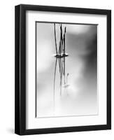 Silence-Ursula Abresch-Framed Premium Photographic Print