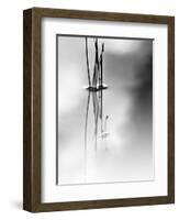 Silence-Ursula Abresch-Framed Photographic Print