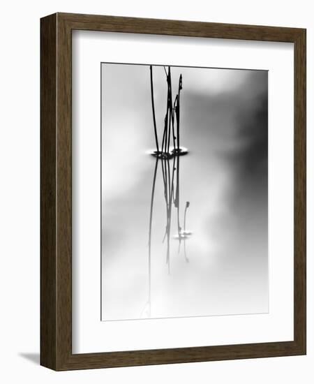 Silence-Ursula Abresch-Framed Photographic Print