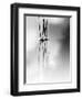 Silence-Ursula Abresch-Framed Photographic Print