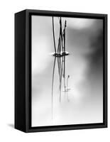 Silence-Ursula Abresch-Framed Stretched Canvas