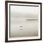 Silence-Nicholas Bell Photography-Framed Photographic Print