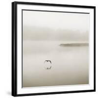 Silence-Nicholas Bell Photography-Framed Photographic Print