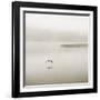 Silence-Nicholas Bell Photography-Framed Photographic Print