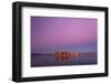 Silence-Jaroslav Zakravsky-Framed Photographic Print