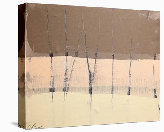 Silence-Cathe Hendrick-Stretched Canvas