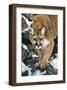 Silent Approach-Jan Henderson-Framed Art Print