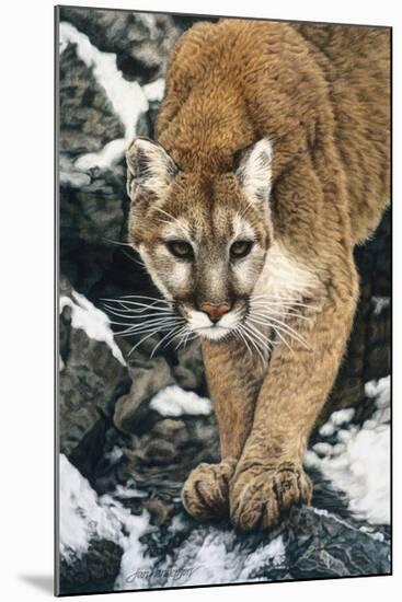 Silent Approach-Jan Henderson-Mounted Art Print