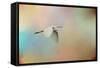 Silent Beauty-Jai Johnson-Framed Stretched Canvas