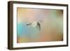 Silent Beauty-Jai Johnson-Framed Giclee Print