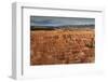 Silent City Hoodoos on a Cloudy Winter Afternoon, Bryce Amphitheatre, Inspiration Point-Eleanor Scriven-Framed Photographic Print