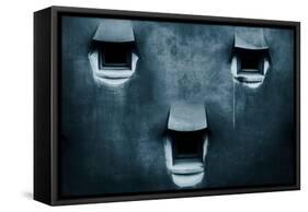 Silent Cry-Fabien Bravin-Framed Stretched Canvas