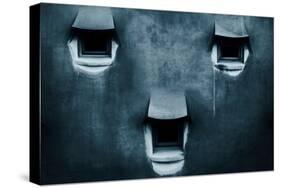 Silent Cry-Fabien Bravin-Stretched Canvas