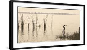 Silent Dawn-C^ J^ Groth-Framed Giclee Print