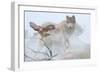 Silent Encounter-Gordon Semmens-Framed Photographic Print