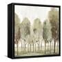 Silent Fall I-Eva Watts-Framed Stretched Canvas