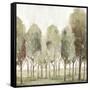 Silent Fall I-Eva Watts-Framed Stretched Canvas
