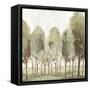 Silent Fall I-Eva Watts-Framed Stretched Canvas