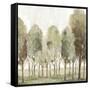 Silent Fall I-Eva Watts-Framed Stretched Canvas