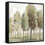 Silent Fall II-Eva Watts-Framed Stretched Canvas