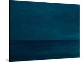 Silent flight, 2016-Angus Hampel-Stretched Canvas