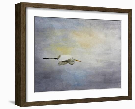 Silent Flight Great White Egret-Jai Johnson-Framed Premium Giclee Print