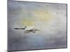 Silent Flight Great White Egret-Jai Johnson-Mounted Premium Giclee Print