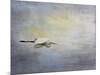 Silent Flight Great White Egret-Jai Johnson-Mounted Giclee Print