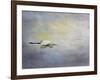 Silent Flight Great White Egret-Jai Johnson-Framed Giclee Print