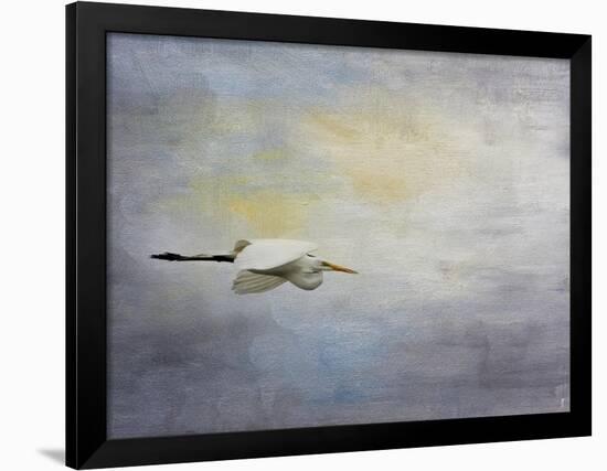 Silent Flight Great White Egret-Jai Johnson-Framed Giclee Print