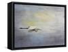 Silent Flight Great White Egret-Jai Johnson-Framed Stretched Canvas