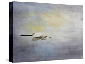 Silent Flight Great White Egret-Jai Johnson-Stretched Canvas