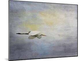 Silent Flight Great White Egret-Jai Johnson-Mounted Giclee Print
