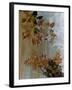 Silent Foliage-Citrine-Framed Giclee Print