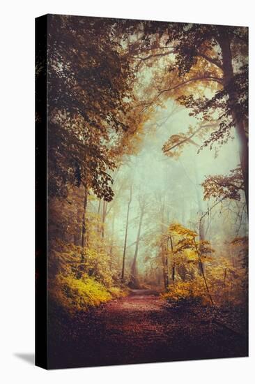 Silent Forest-Dirk Wuestenhagen-Stretched Canvas