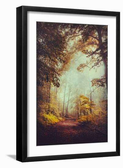 Silent Forest-Dirk Wuestenhagen-Framed Photographic Print