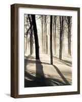 Silent Forest-Andrew Geiger-Framed Art Print