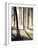 Silent Forest-Andrew Geiger-Framed Art Print