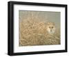 Silent Gaze-Joh Naito-Framed Giclee Print