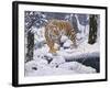 Silent Hunter- Siberian Tiger-Jeff Tift-Framed Giclee Print